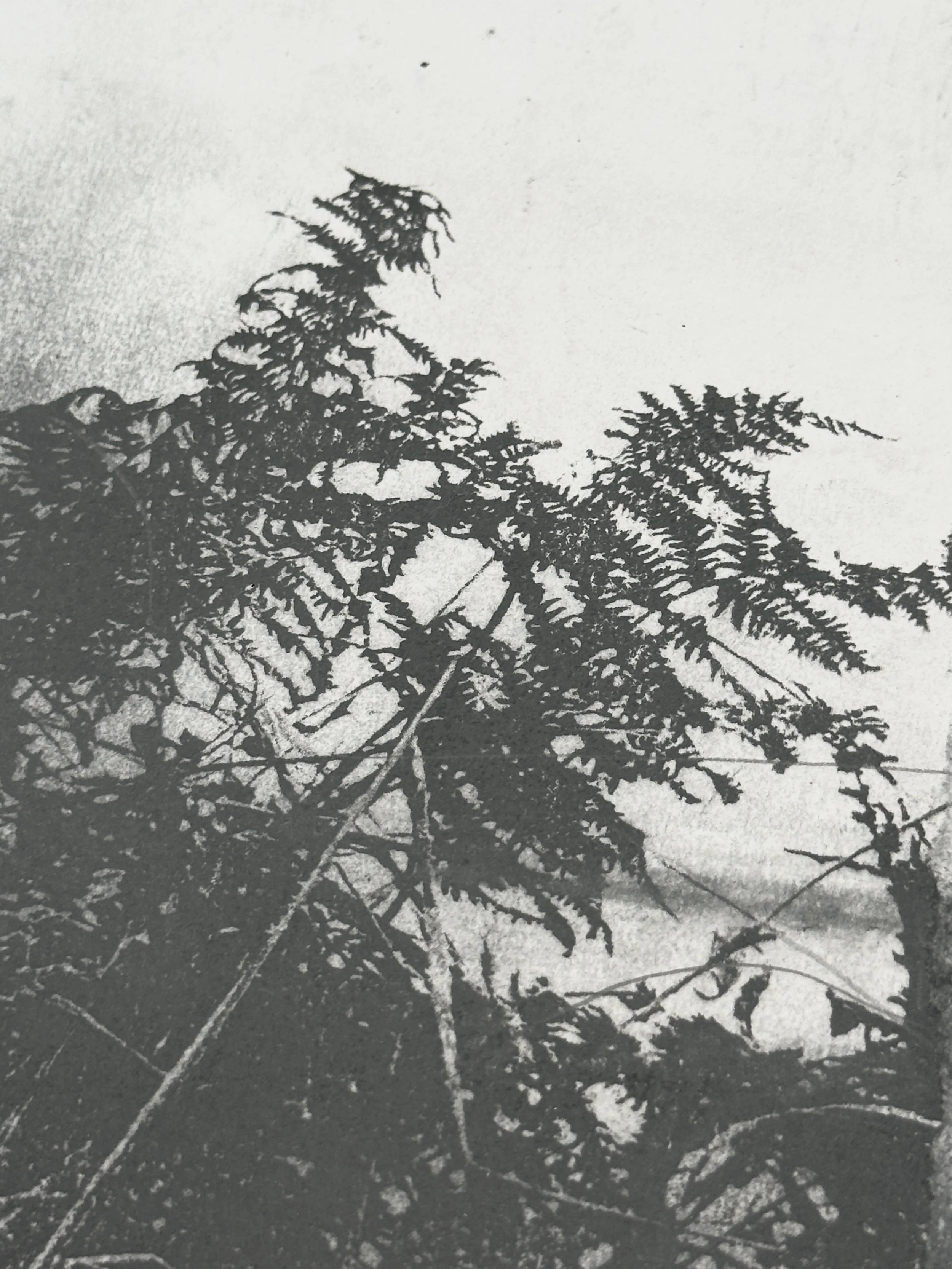 glimpse-ii-02.jpg