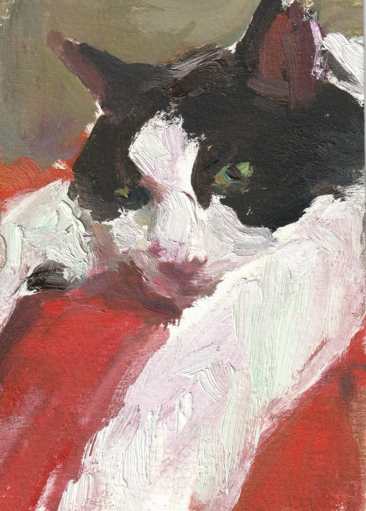 black-and-white-cat-lynne-cartlidge-front.jpg