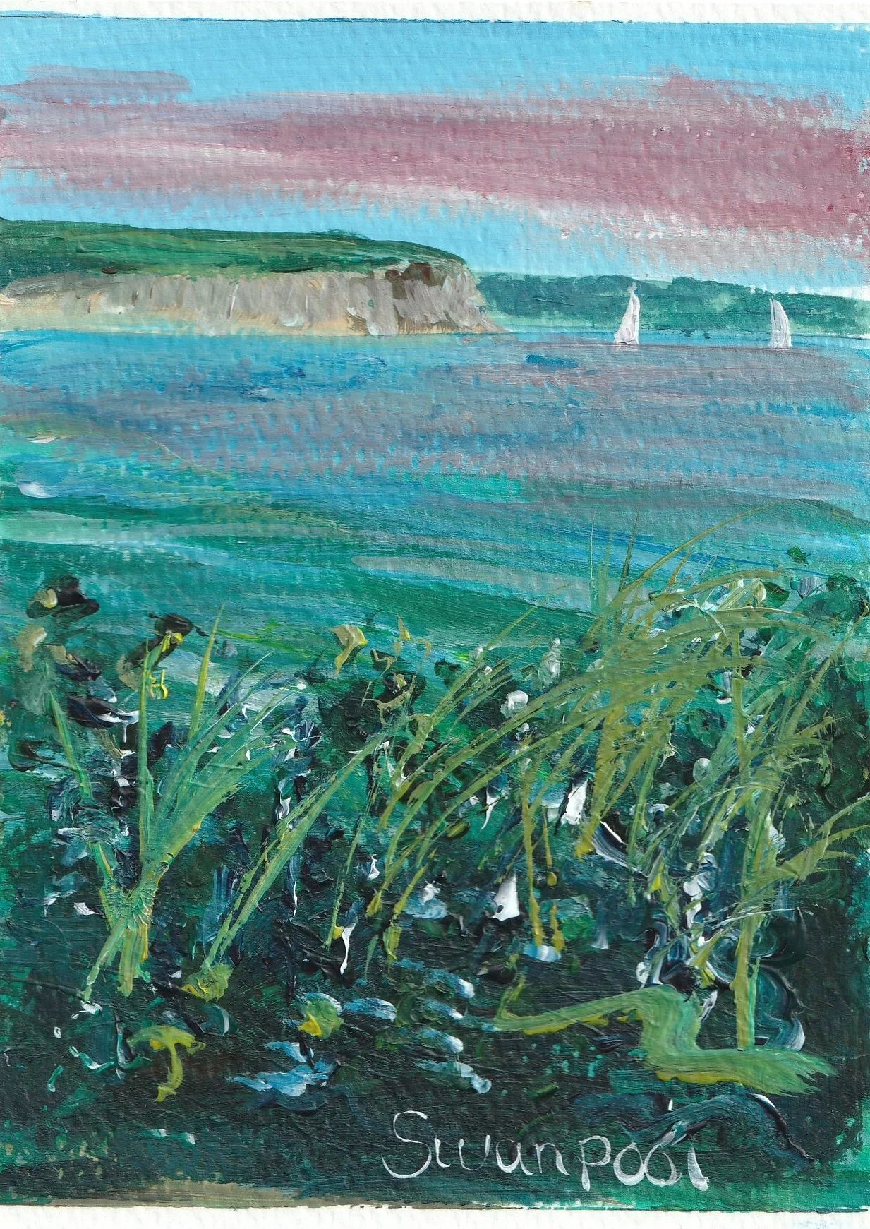 swanpool-ii-front.jpg