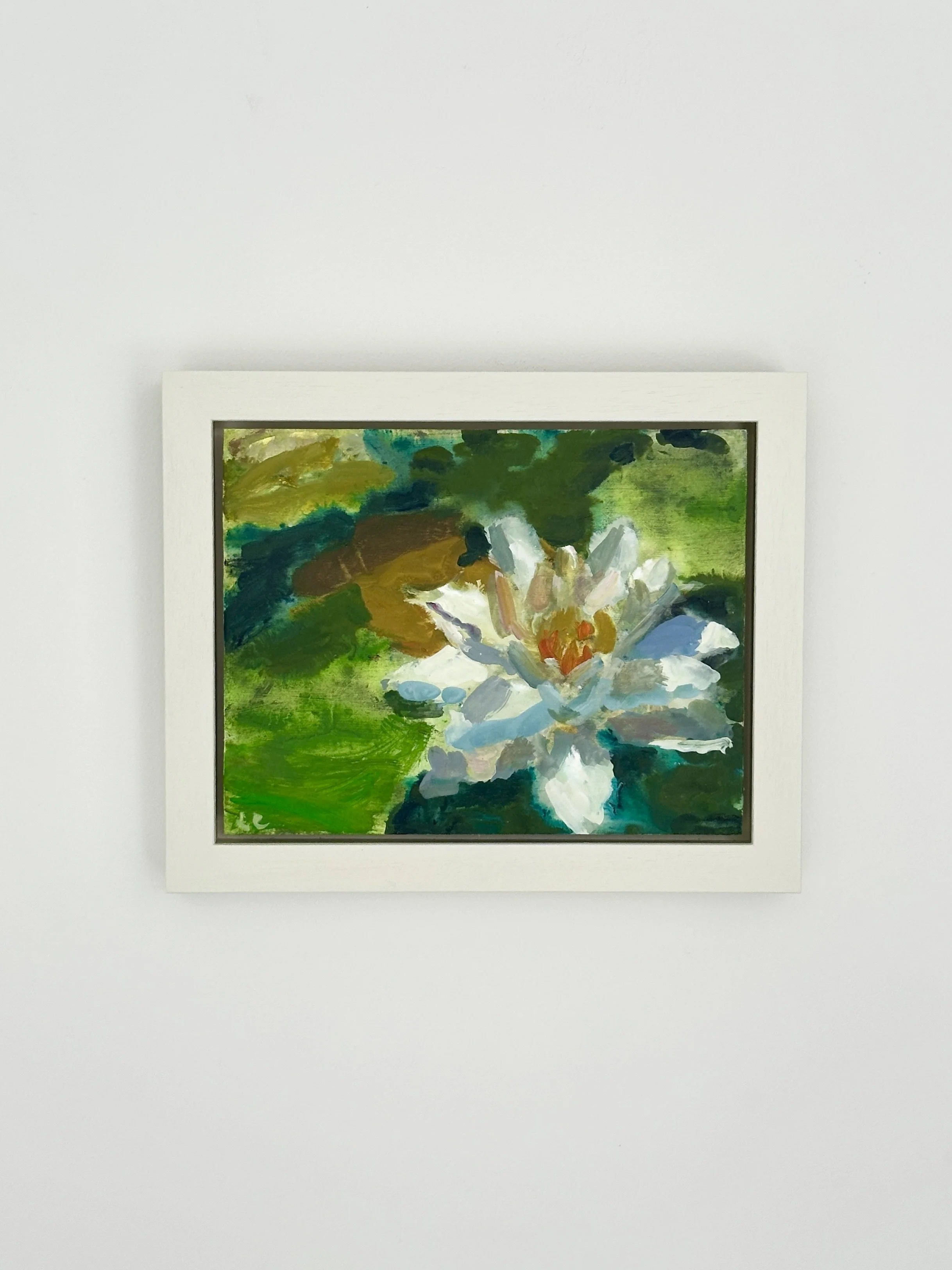 Water Lily