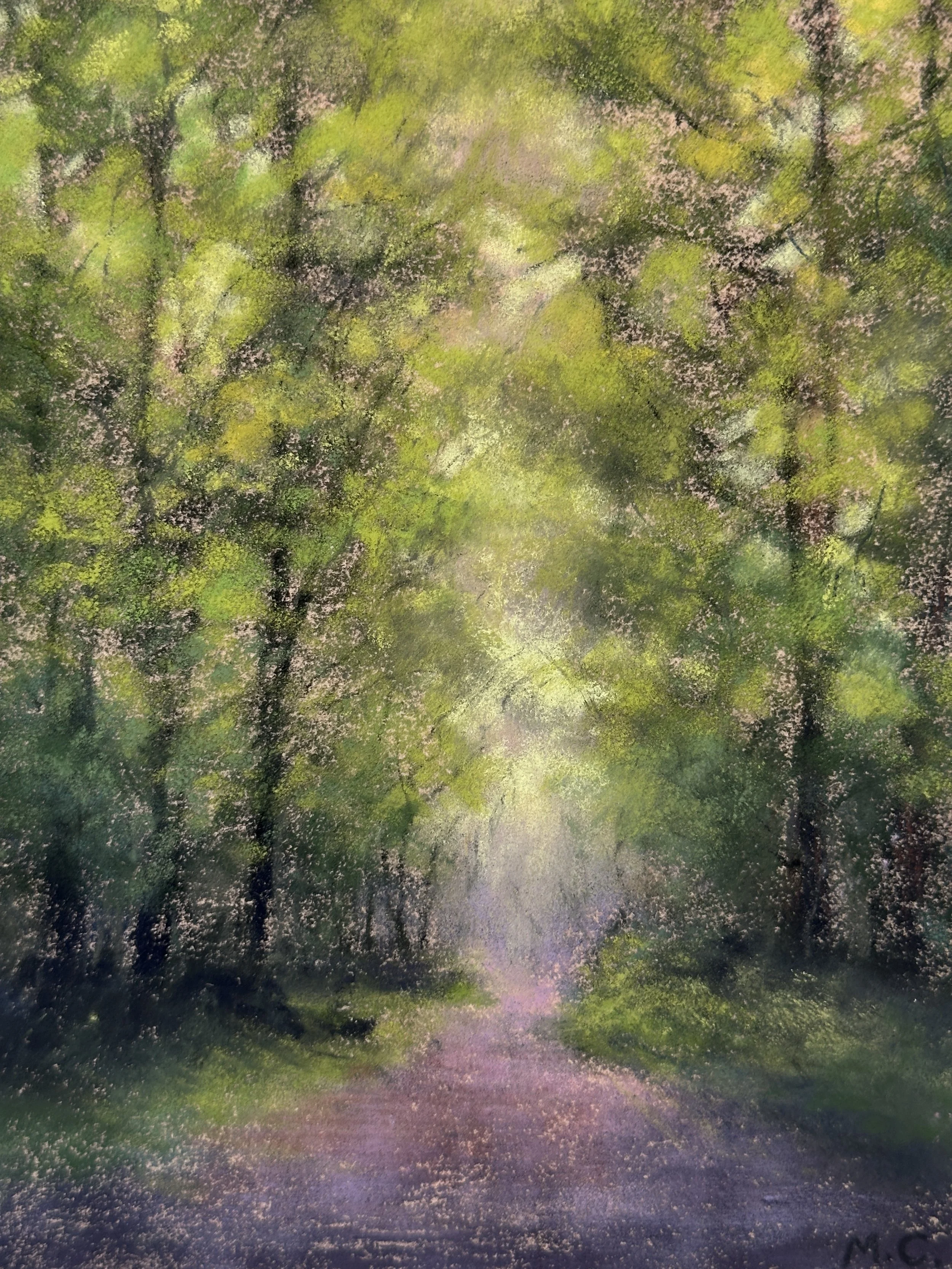 enchanting-lights-into-the-woods.JPG