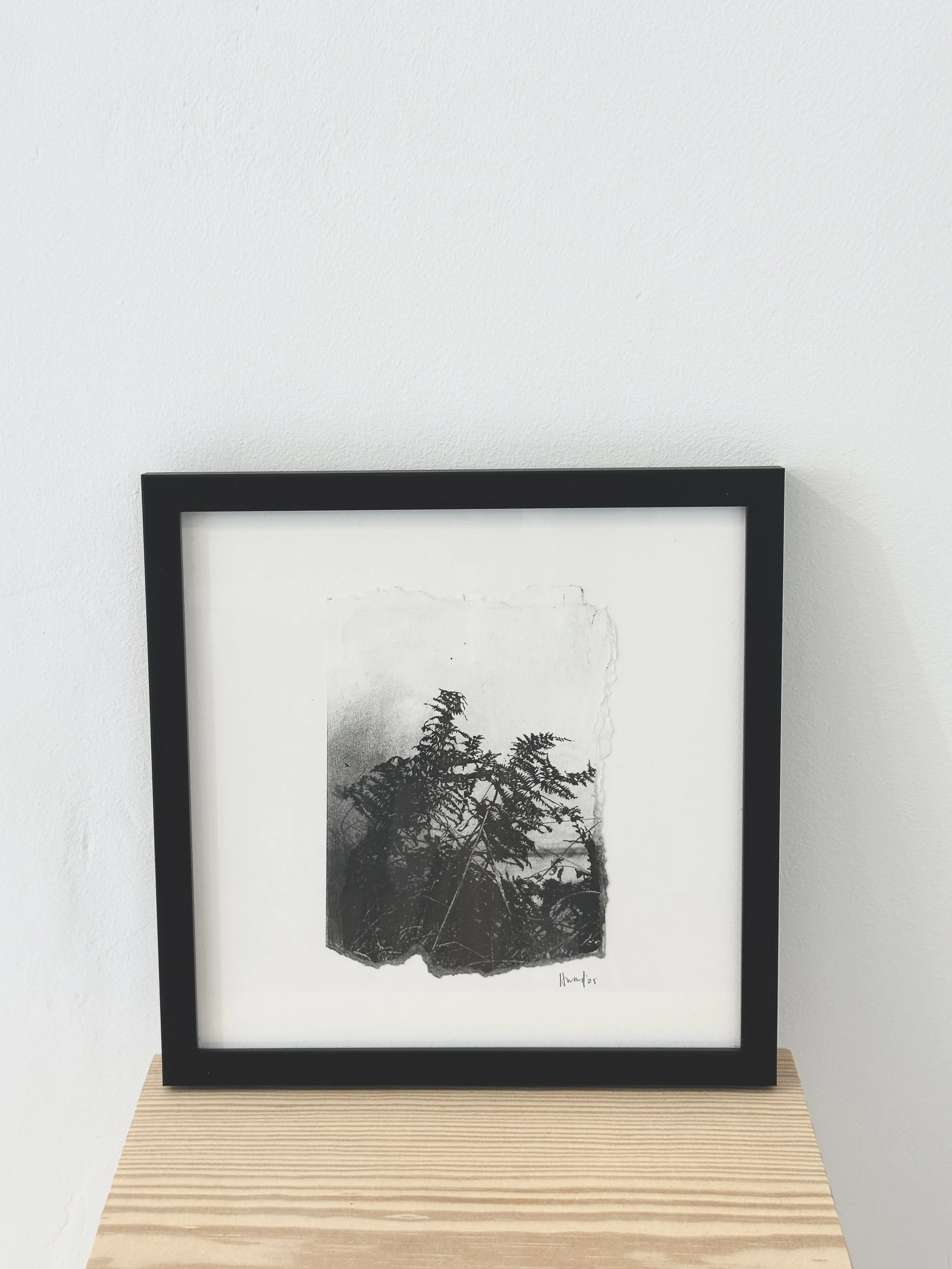 glimpse-ii-01.jpg