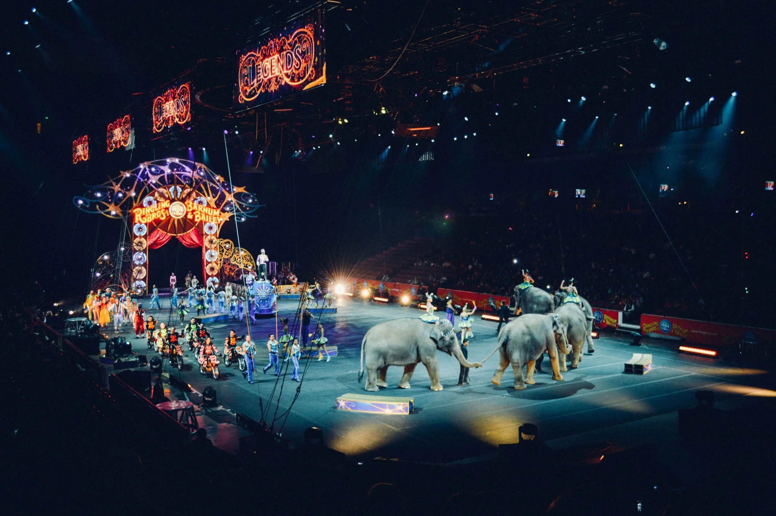 How to Manage the Circus of Life and Write a Book, Too
