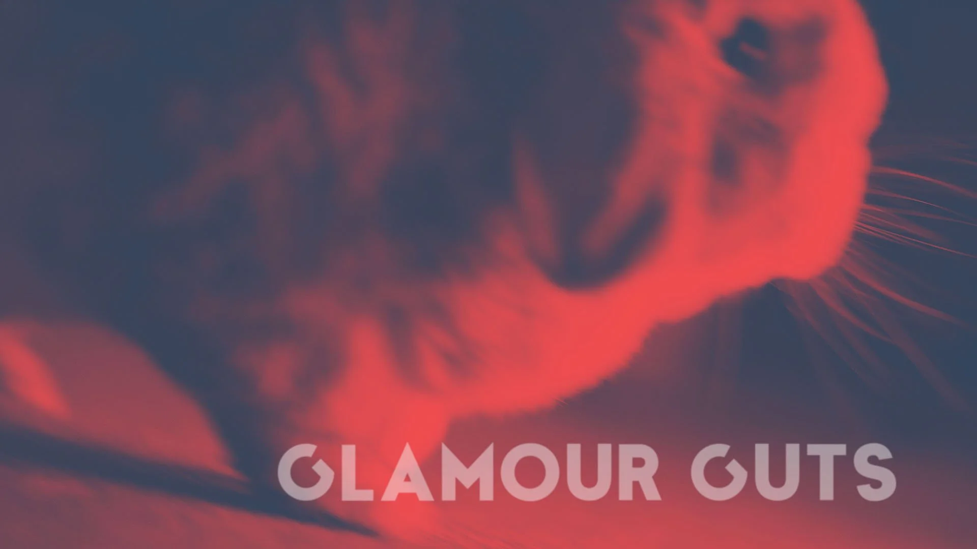 Close-up of a cat's face with glowing red eyes and fur, with text "Glamour Guts" at the bottom.