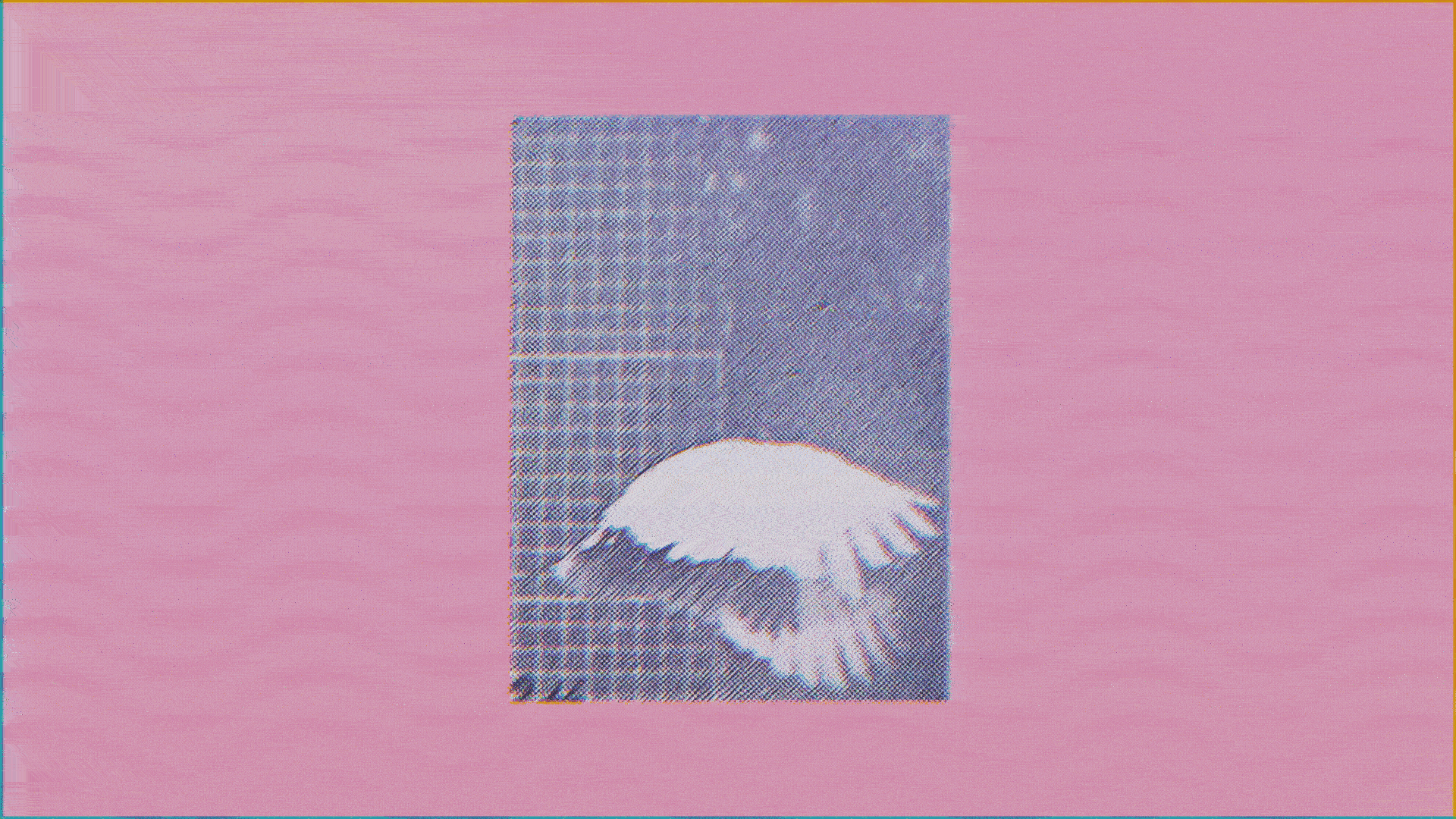 A postcard featuring a penguin under an umbrella with a pink background.