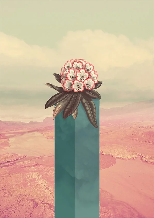 Collage Series