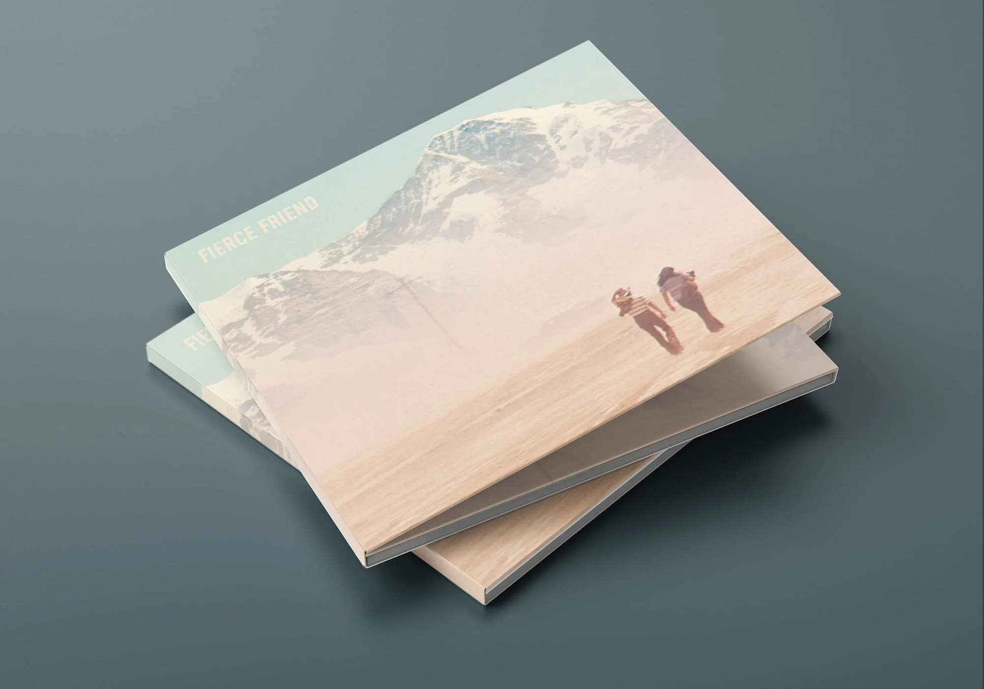 Stacked books with the top one featuring an image of snowy mountains and two hikers, with the words 'FIERCE FRIEND' visible.