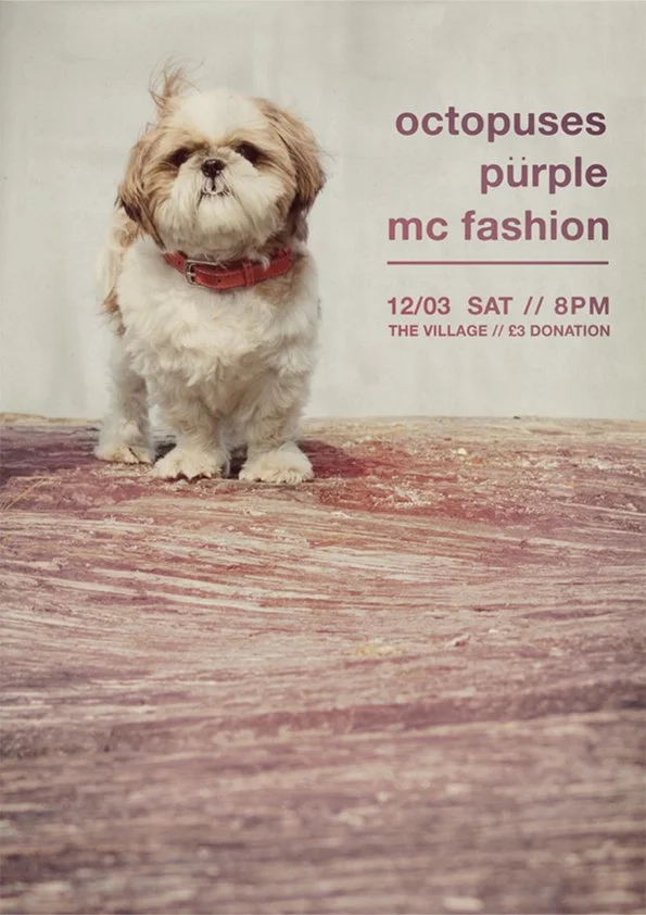 A small dog with fluffy fur and a red collar sitting on a wooden floor. To the right of the dog, there is purple text advertising an event called 'octopuses purple mc fashion' scheduled for December 3rd at 8 PM at The Village with a three-pound donat