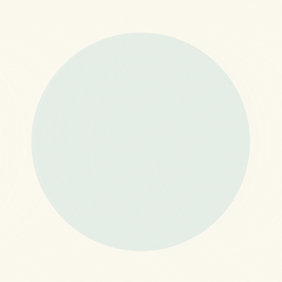 A white background with a faintly visible large light grey circle in the center.
