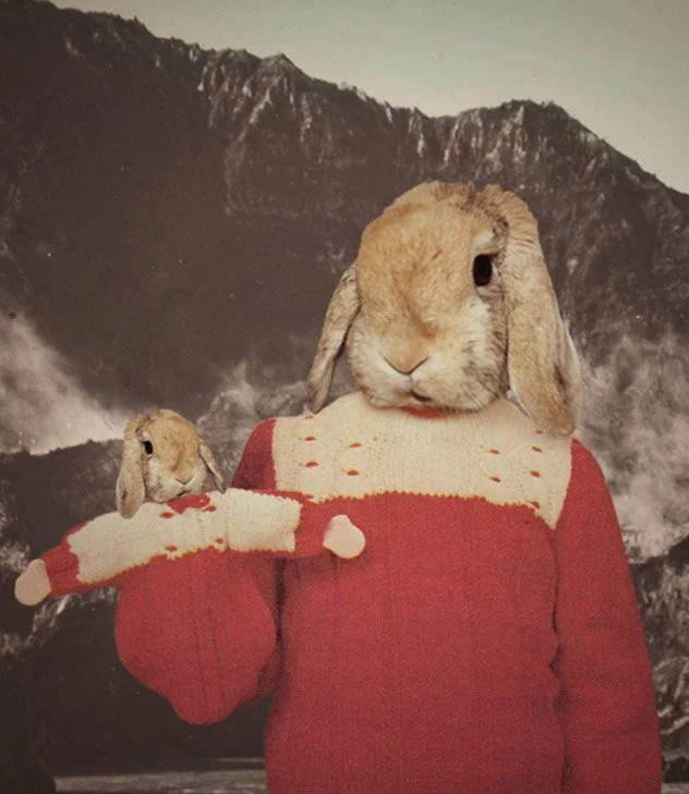 A person wearing a red sweater with a cartoon rabbit face, with a real rabbit head photoshopped onto the top, standing in front of a mountain landscape.