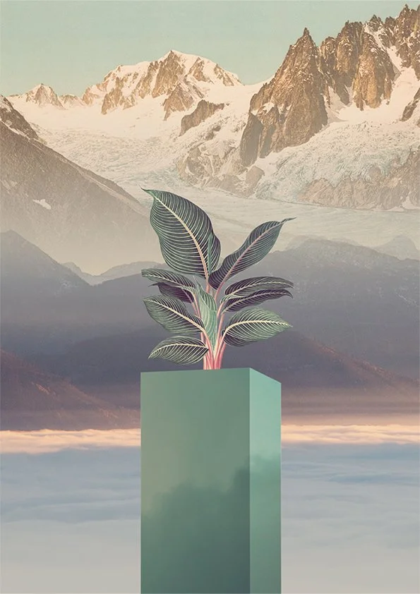 A surreal digital art scene featuring a potted plant with large, colorful leaves set on a modern pedestal. In the background, there are snow-capped mountains and a misty sky, creating a dreamlike landscape.