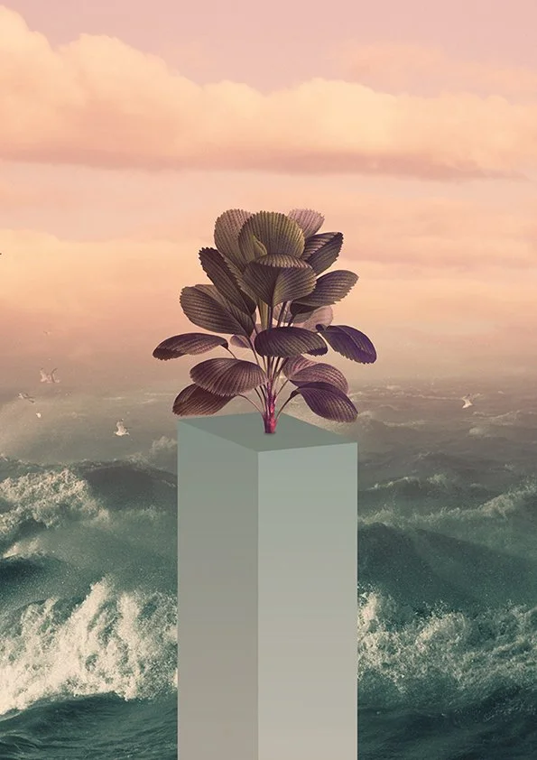 A digital image of a plant with large leaves growing out of a minimalistic gray rectangular pedestal, set against a seascape with choppy waves and a pastel-colored sky at sunset.