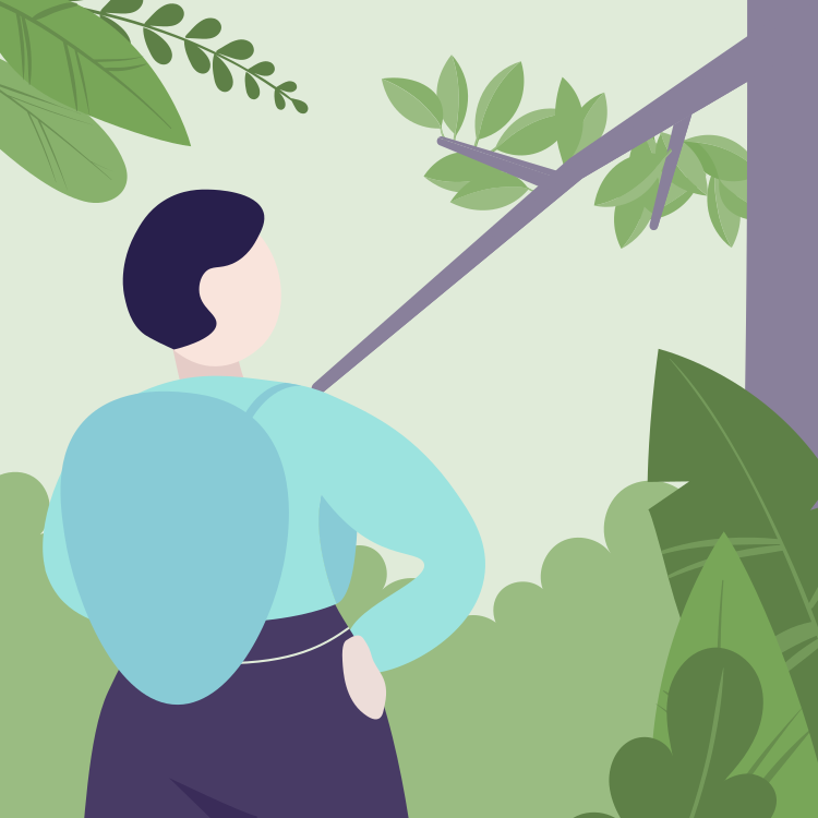 Illustration of a person with dark hair in a turquoise shirt and dark pants standing outdoors among lush green plants, looking at a tree branch with green leaves.