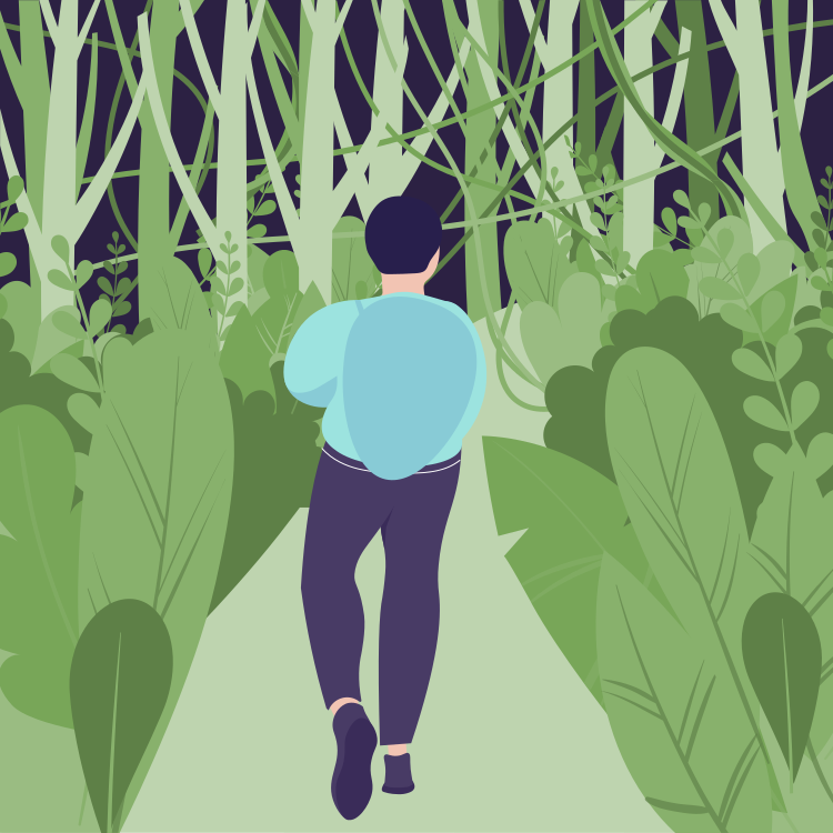 Person walking down a pathway surrounded by lush green plants and tall trees at night.