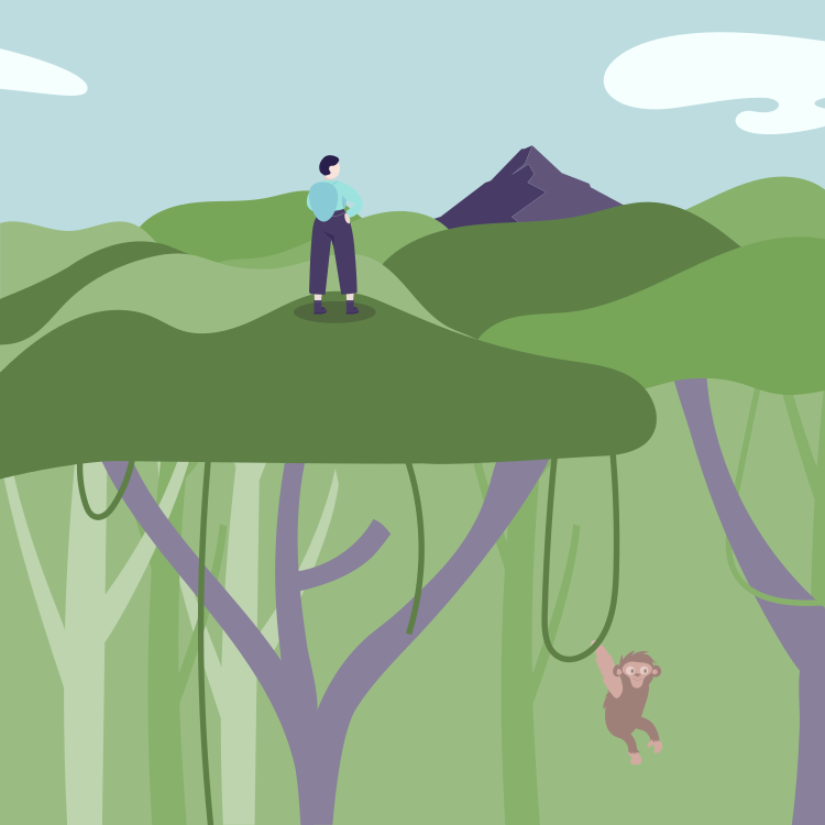 A person standing on a green hillside overlooking a mountain and trees, with a monkey hanging from a vine beneath the tree.
