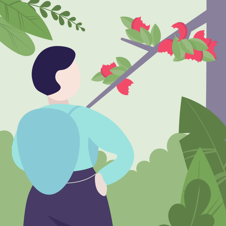 A person standing outdoors observing a branch with red flowers and green leaves.