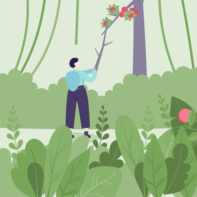 A person holding a branch with red berries in a garden surrounded by green plants and trees.