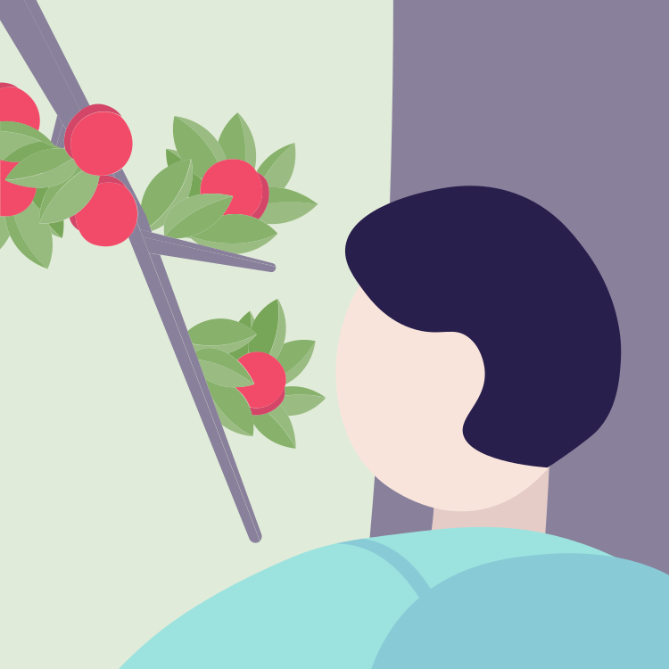 Person with dark hair looking at fruit-bearing branches from a tree or shrub.