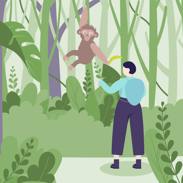 A person observing a flying monkey in a lush green jungle with various large-leafed plants and tall trees.