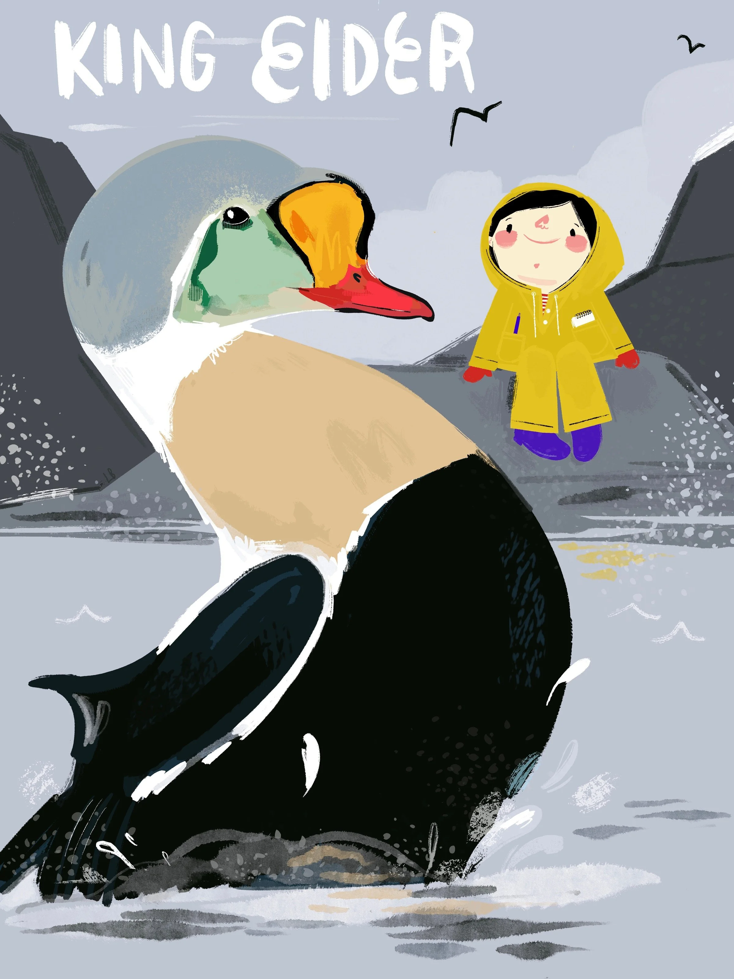 King_eider.jpg
