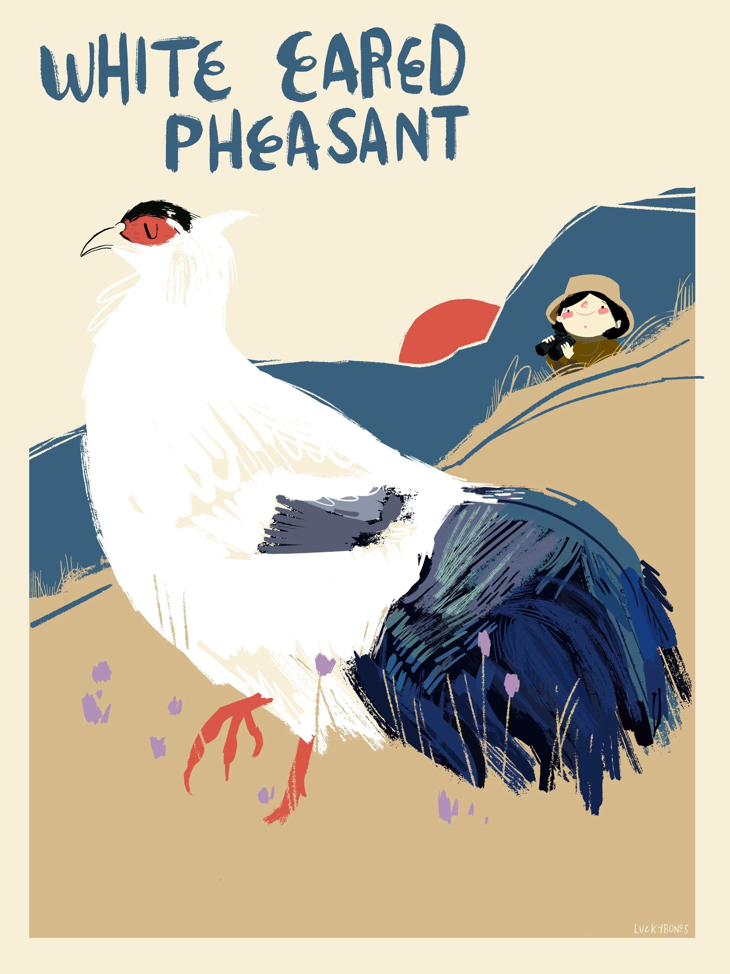 white-eared pheasant.jpg