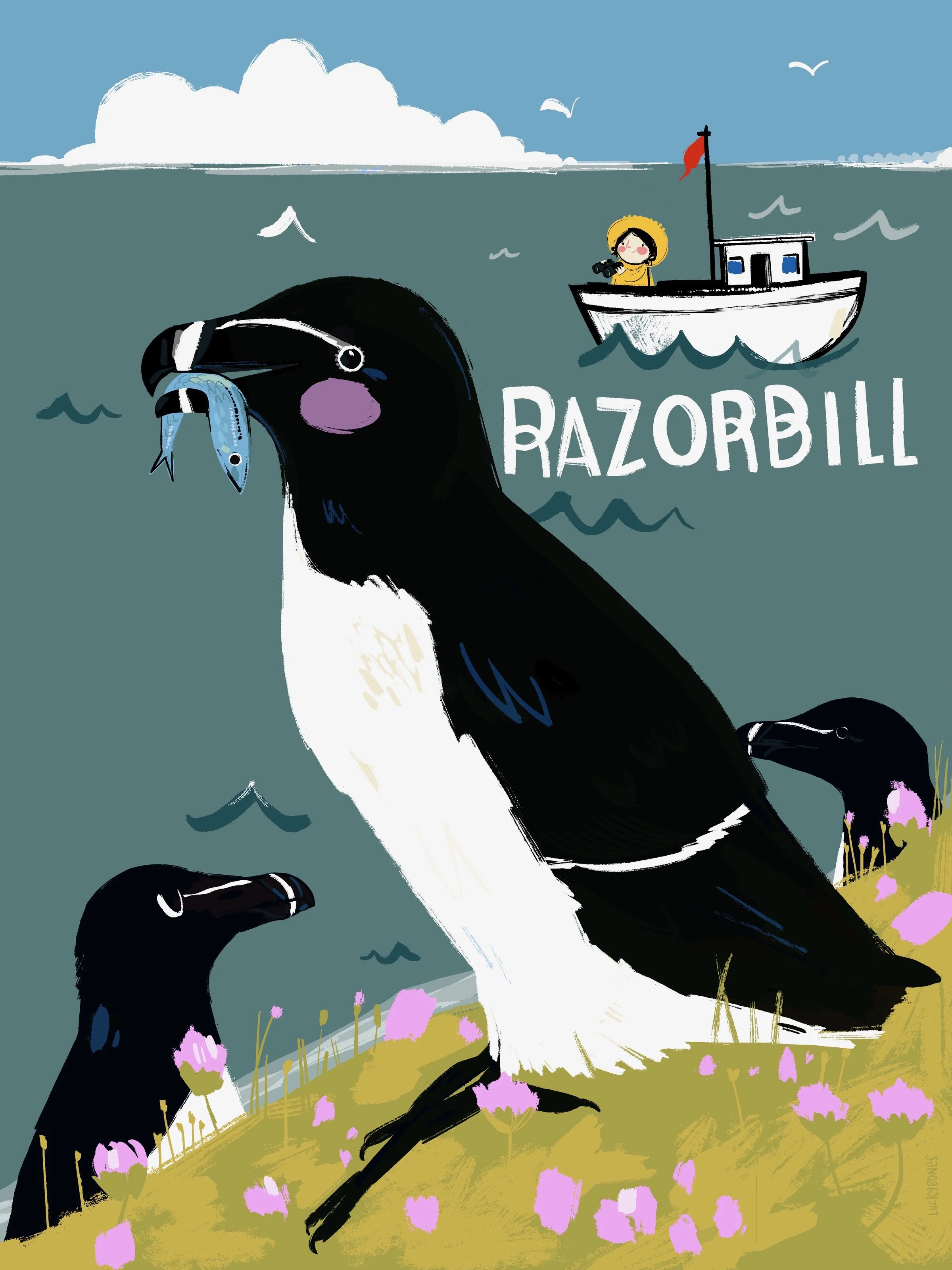 Razorbill.jpg