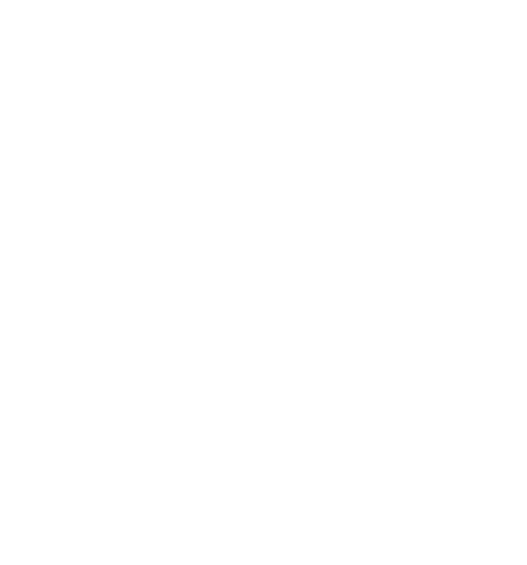 SNKP CAPITAL