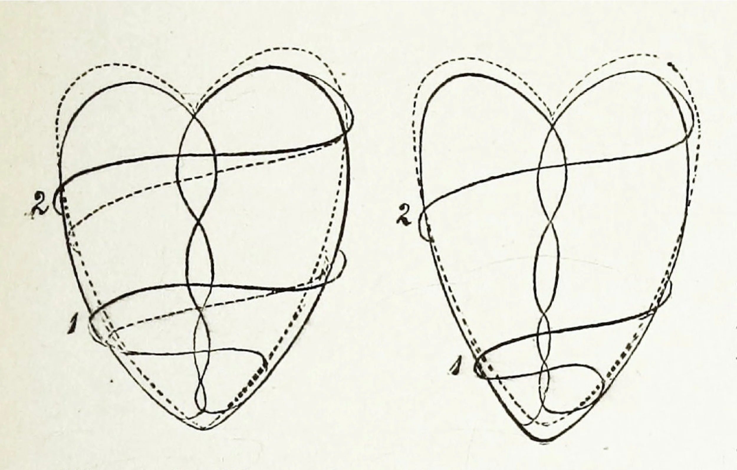 Line drawing of two intertwined hearts, with dotted and solid lines.