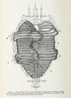 Detailed diagram of the human stomach, showing internal structures and labeled parts.
