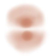 A close-up of a burger bun with a plain top and bottom, no fillings visible.