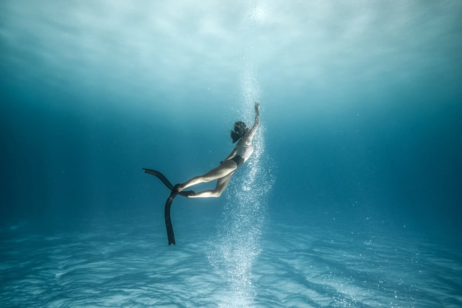 Freedive emu