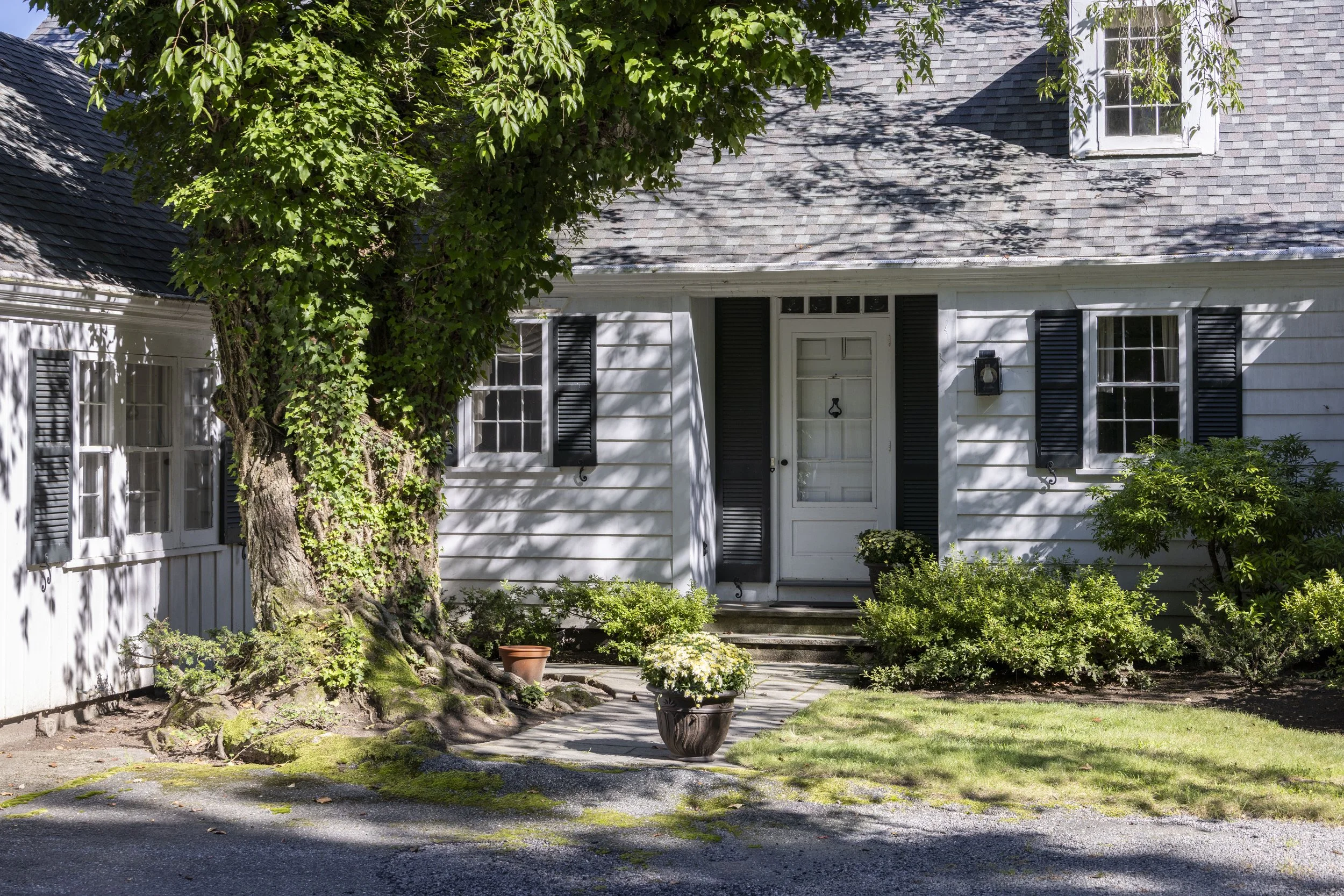 white house with black shutters and gray shingle roof partially obscured by a large tree with green leaves. Potted plants and shrubs are in front of the house, with a patch of grass and a gravel driveway