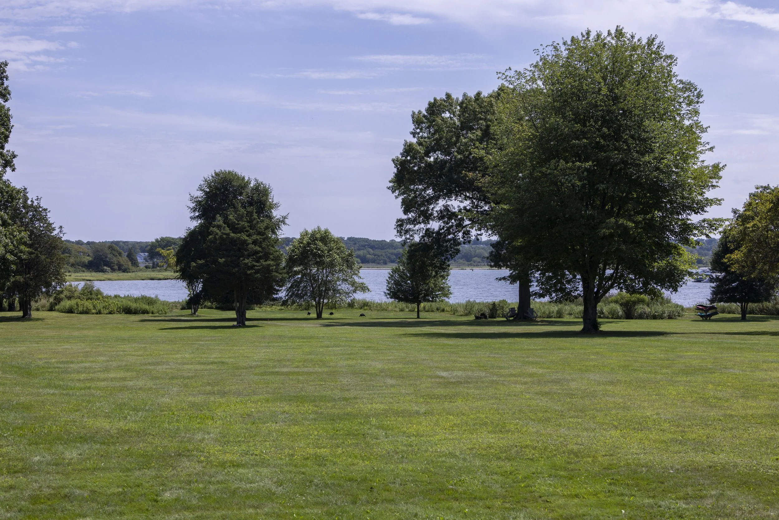 A park with a lush green lawn, several trees, a river in the background, and a partly cloudy sky.