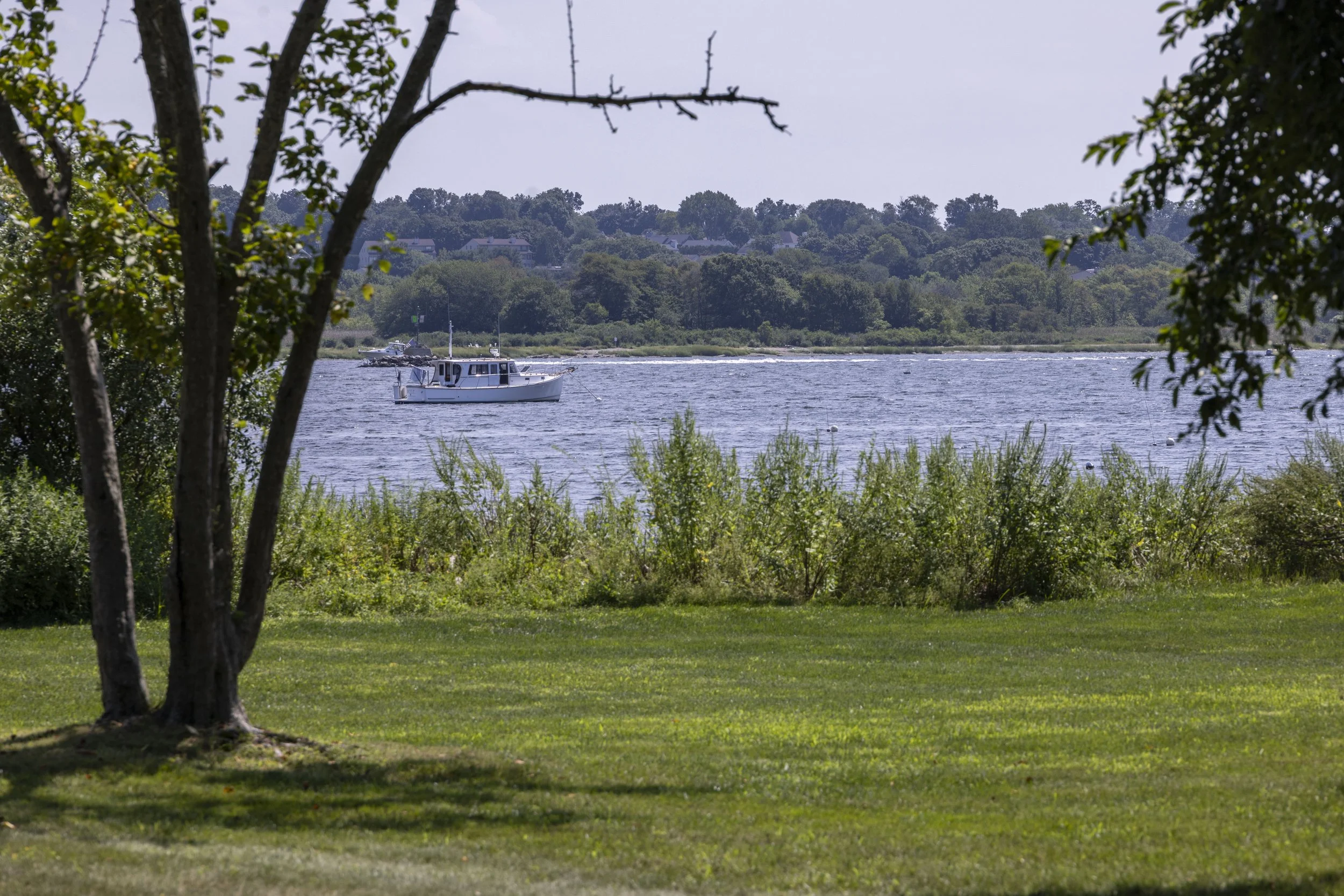 A landscape view of a river with a white boat sailing, framed by trees with green foliage in the foreground and a tree with bare branches.