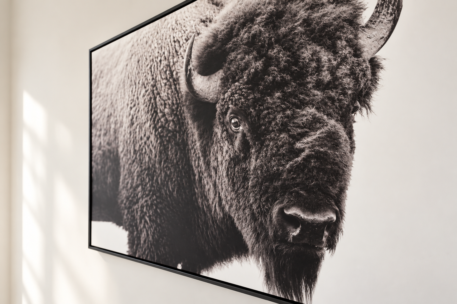 Monochrome Bison Portrait in a Minimalist Frame.png
