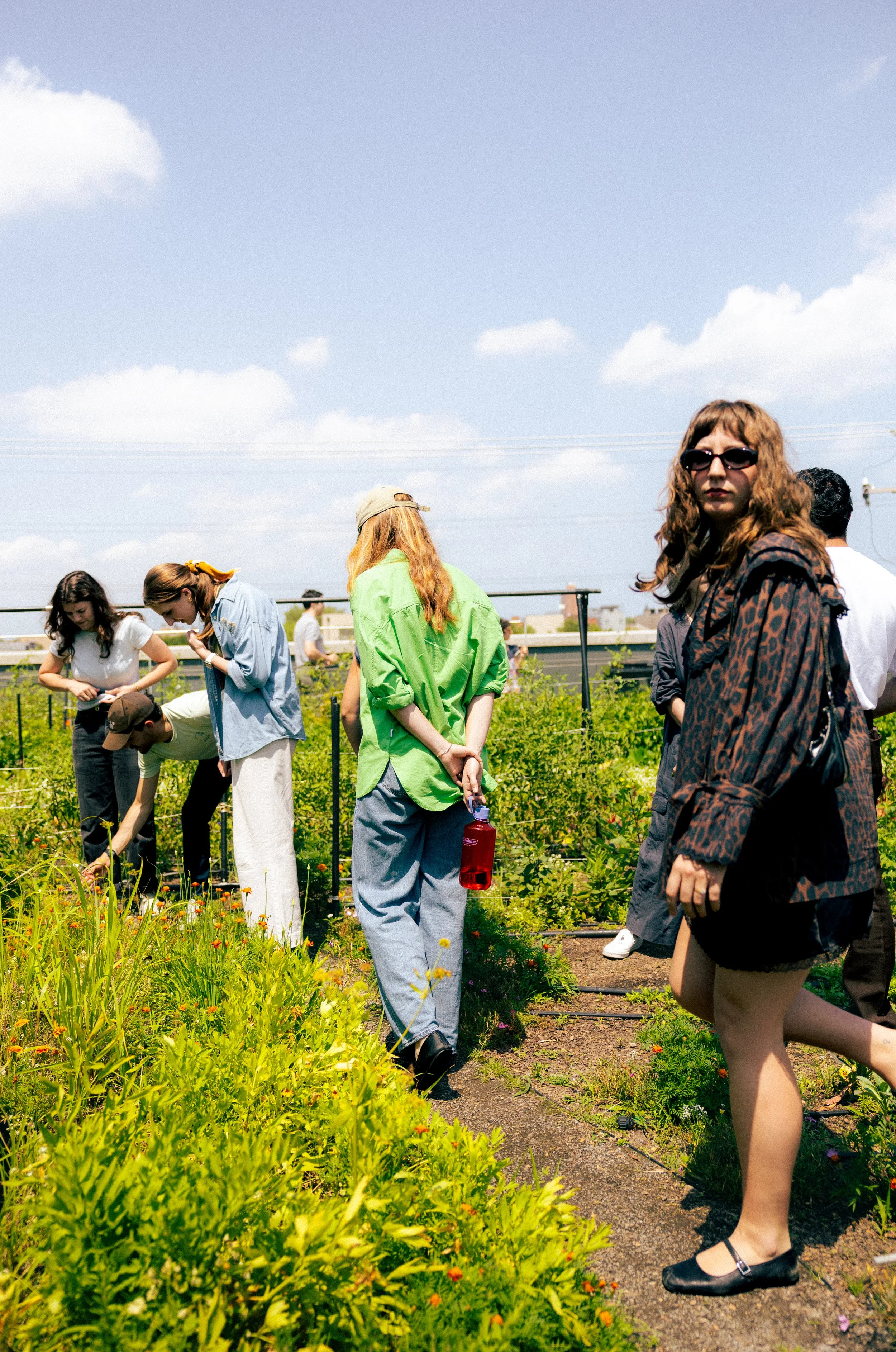 Crop Tour-6.JPG