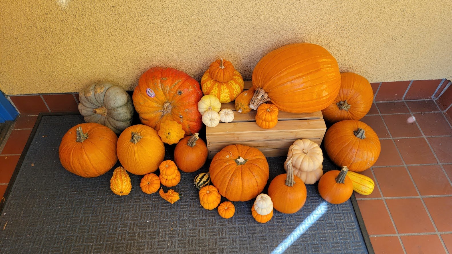 Arrangement of various pumpkins and gourds of different sizes, shapes, and colors on a dark rubber mat and a wooden crate against a yellow wall and tile floor.