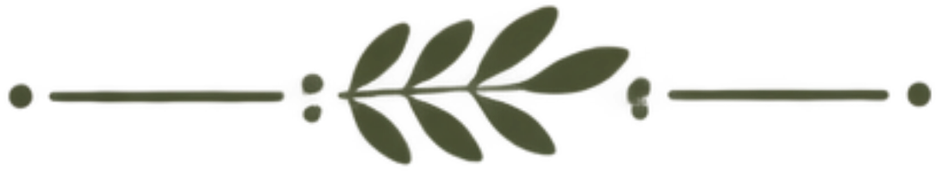 Decorative leaf and dot border design isolating on transparent background.