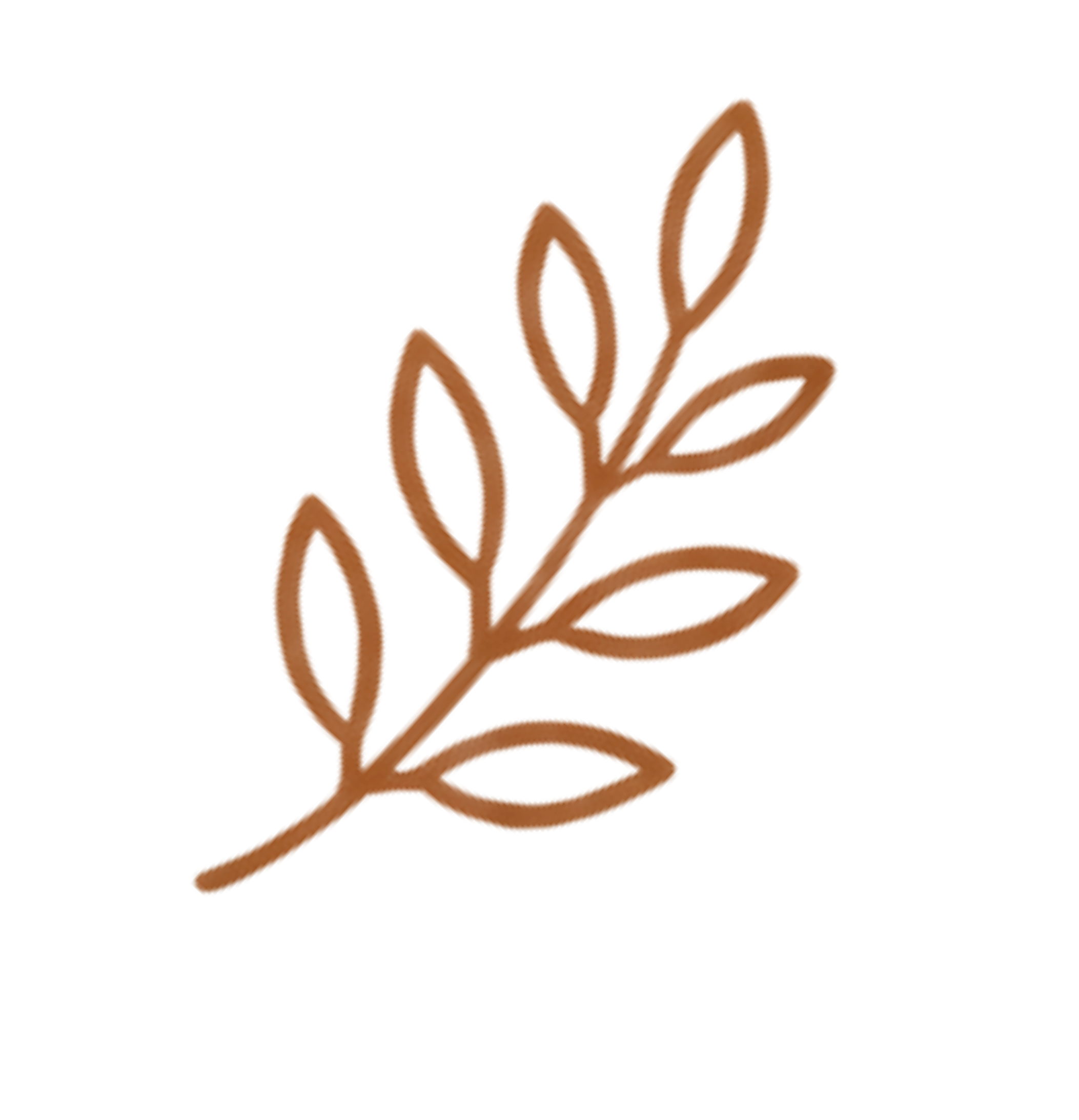 Line drawing of a cactus with three arms, with a white background and brown outlines.