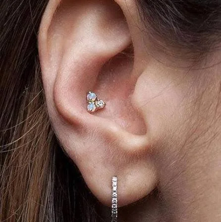 Conch-
$60- $80 
Age Requirement- 15+ Photo ID required