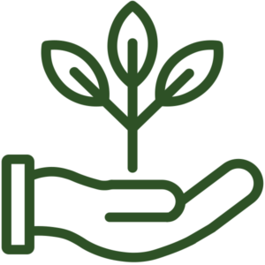 Outline of a hand holding a small plant with leaves