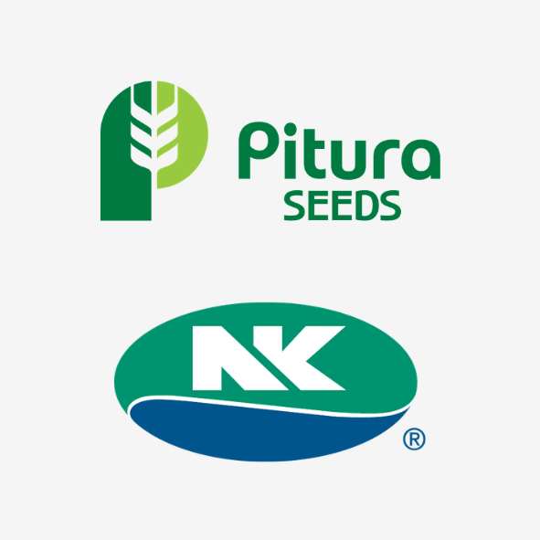 Pitura Seeds To Take On Distribution Of NK Soybeans In Western Canada