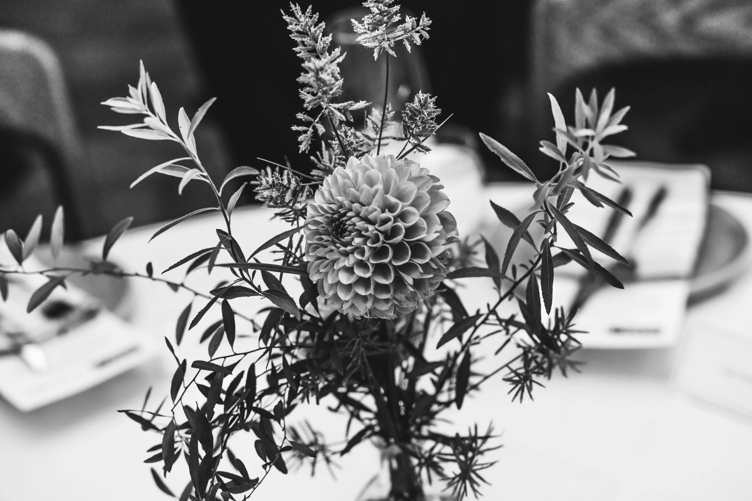0R5_2258.jpg