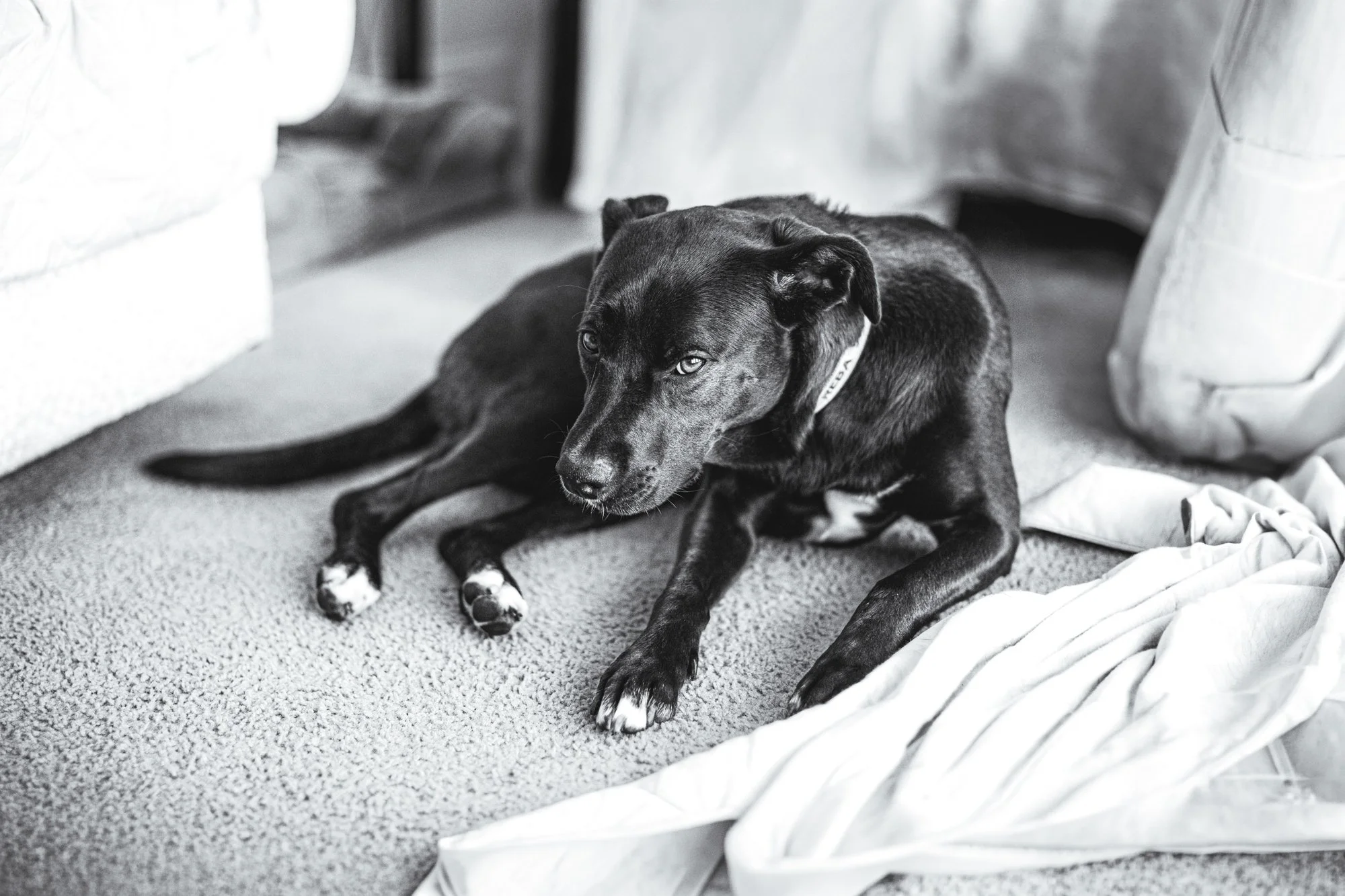 Willow_July_6-0780-Edit.jpg