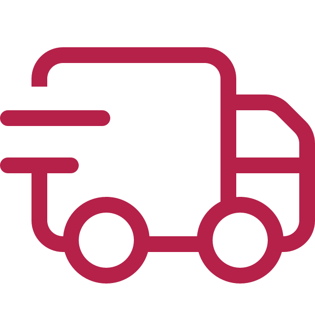 Fast truck icon