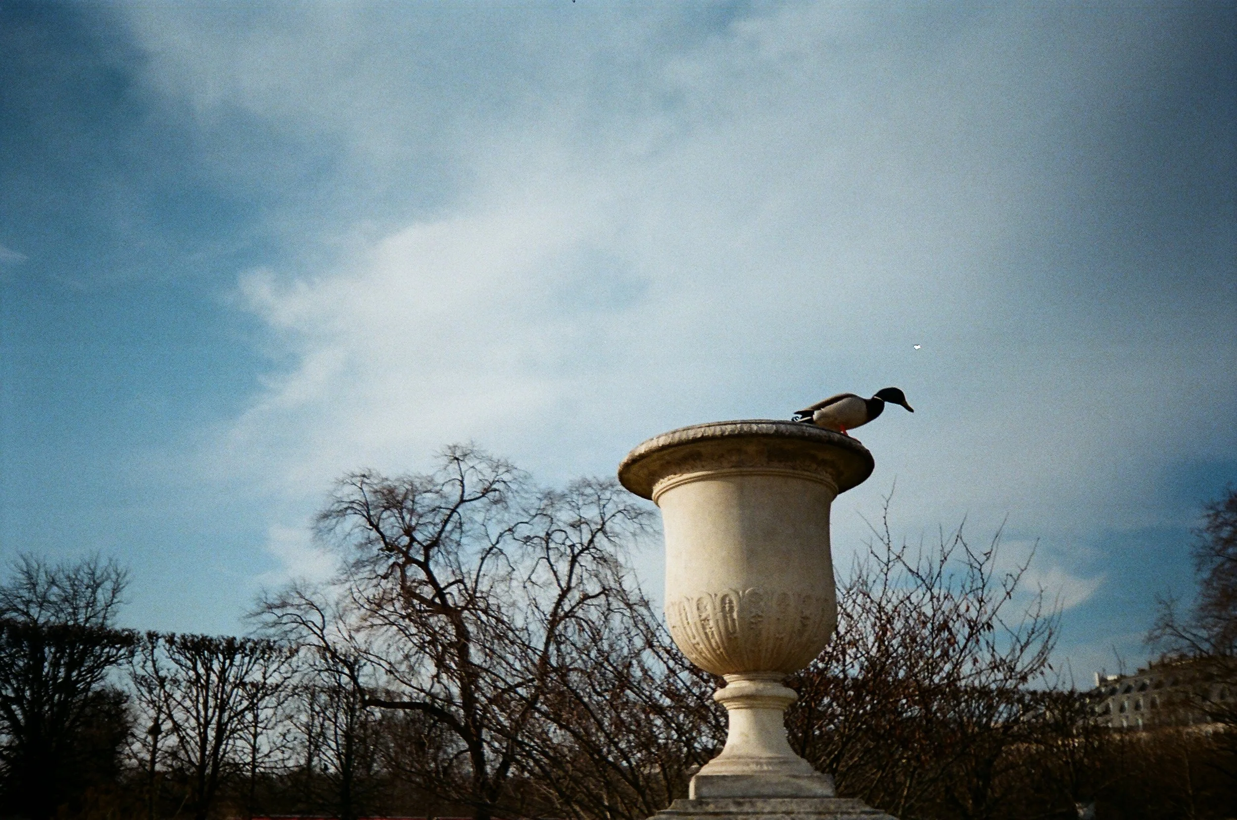 IMG_1552.jpeg