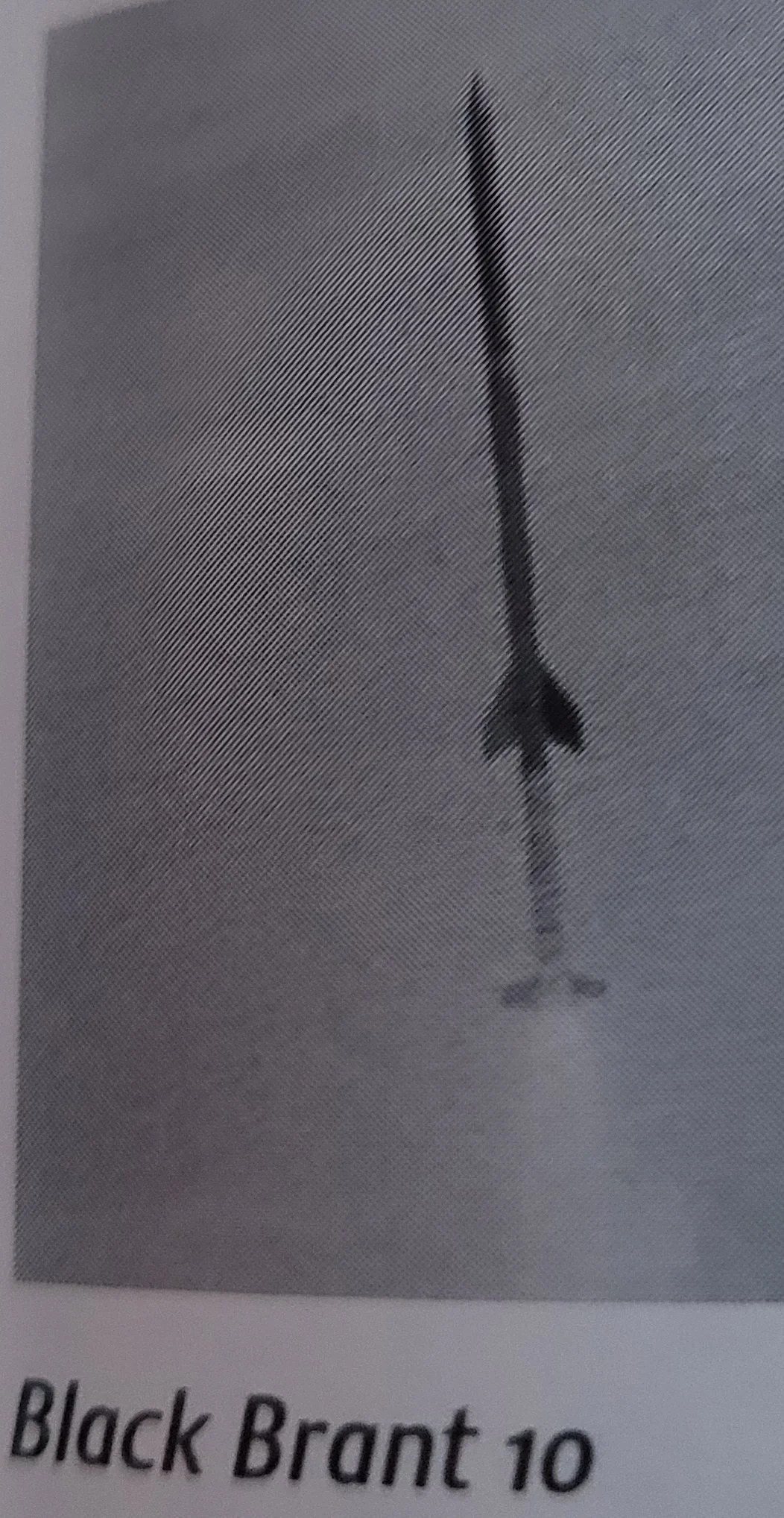 1000009759.jpg
