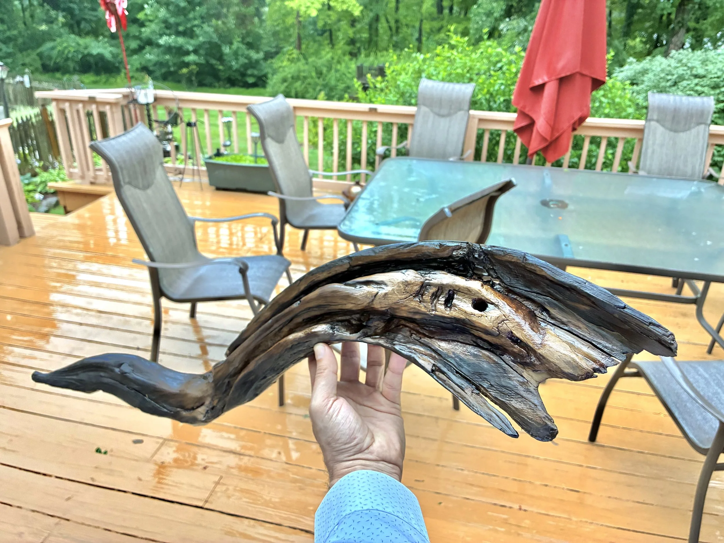 Fish Time