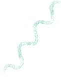 doodles_squiggle.jpg