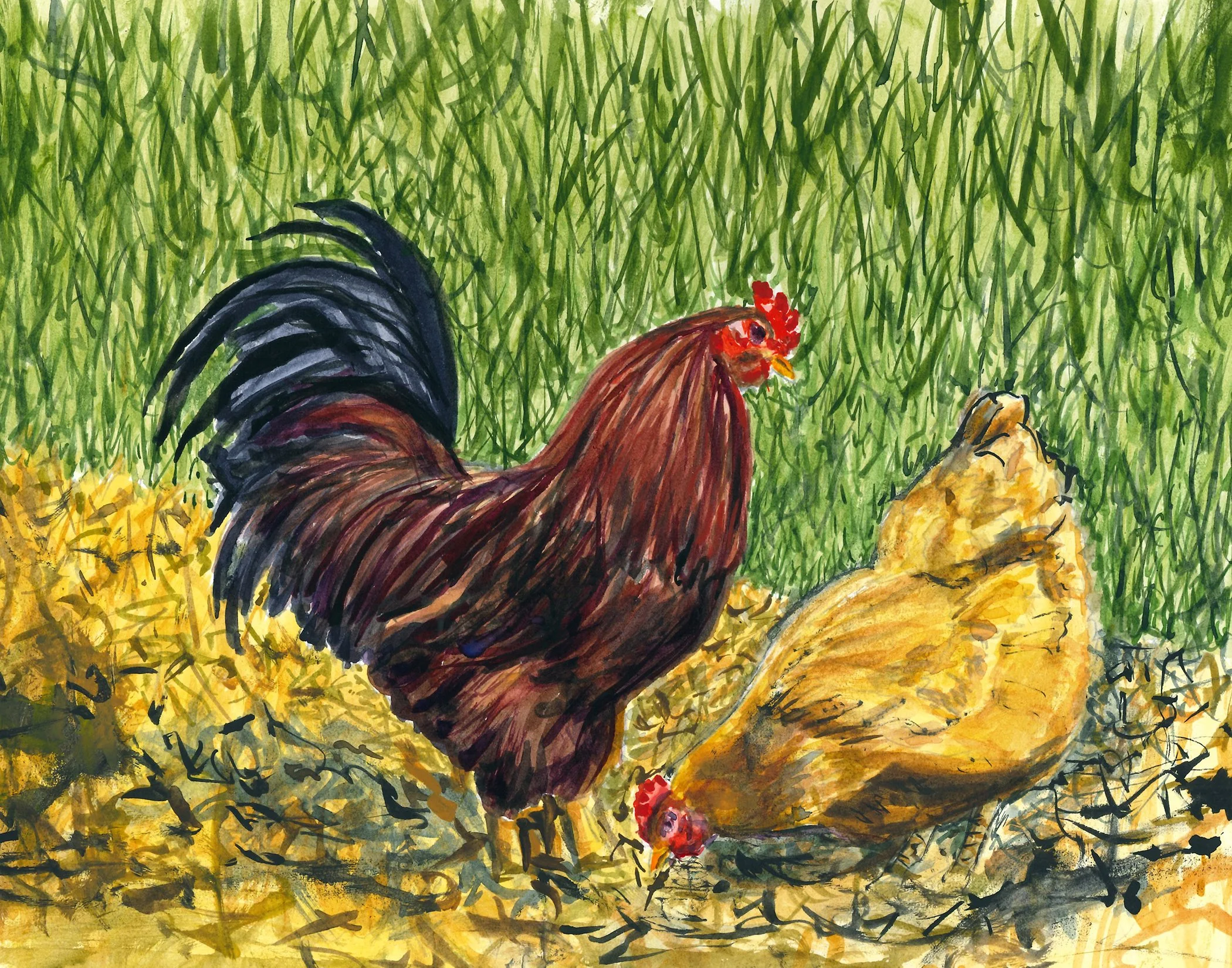 SOLD - Rhode Island Red & Friend